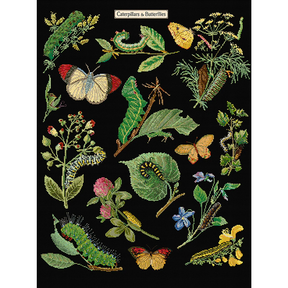 caterpillars-and-butterflies-borduurpakket - Thea Gouverneur