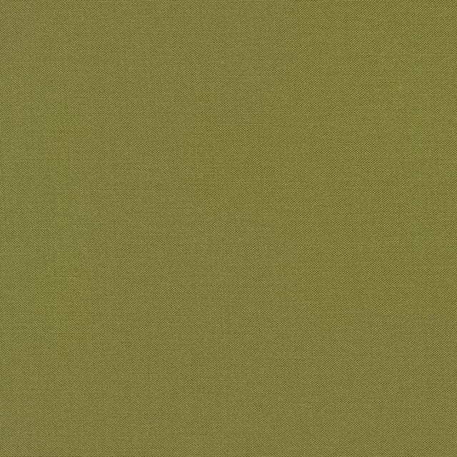 kona-cotton-stof-ivy - Robert Kaufman Fabrics