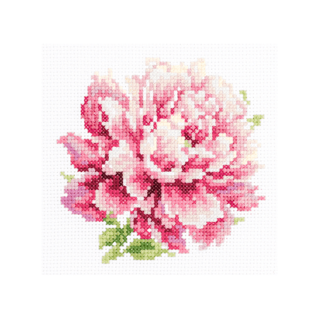Rico Kruissteekpakket Gedroogde Bloemen Rico Kruissteekpakket Gedroogde Bloemen