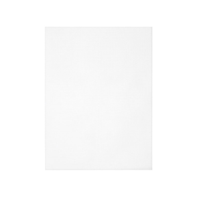 plastic-canvas-borduren - Iris Borduurt