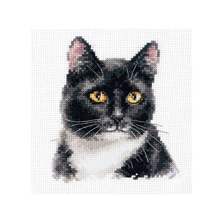zwarte-kat-met-witte-borst-borduurpakket - Alisa