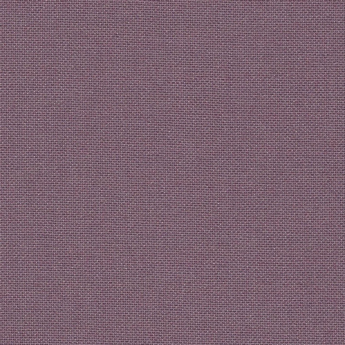 Zweigart Murano evenweave 32 count - Blackberry - 48 x 86 cm -bestellen bij Iris Borduurt