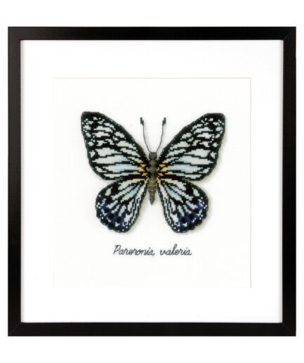 vervaco borduurpakket blauwe vlinder
