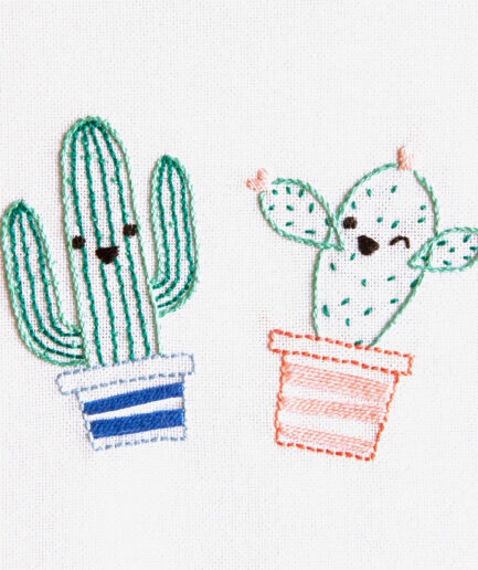 dmc borduurpakket cactus