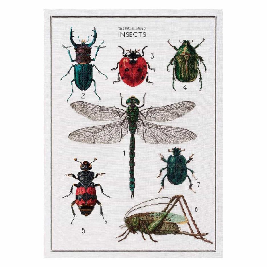 borduurpakket history of insects thea gouverneur aida