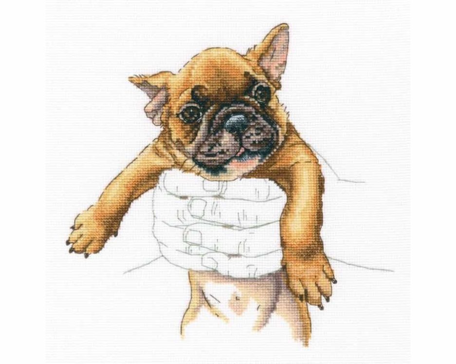 Borduurpakket puppy french bulldog