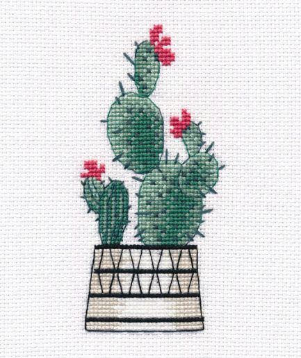 Cactus borduurpakket