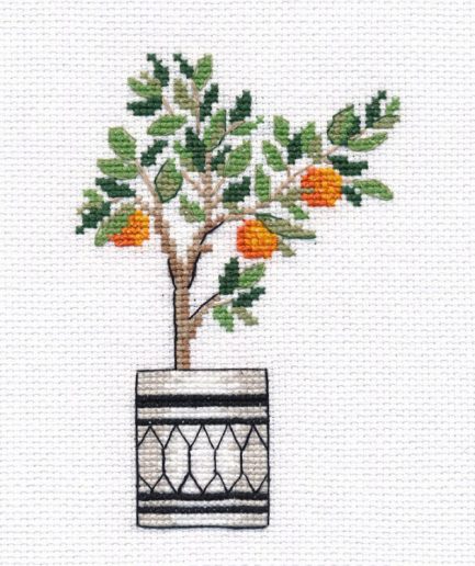 Sinaasappelboom borduurpakket