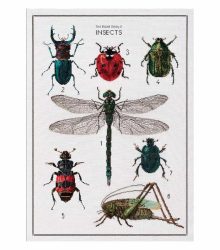 borduurpakket history of insects thea gouverneur aida