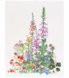 Thea Gouverneur borduurpakket wilde bloemen